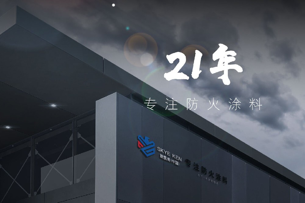 斯凯肯（中国）集团