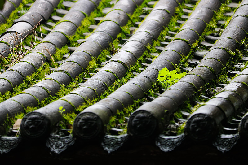 常州市金坛区古建园林